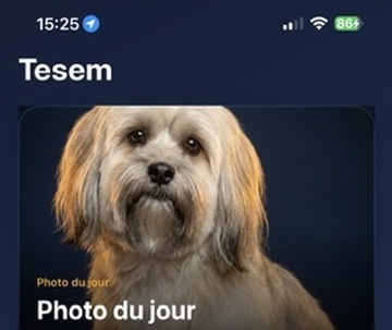 TESEM — capture d'écran