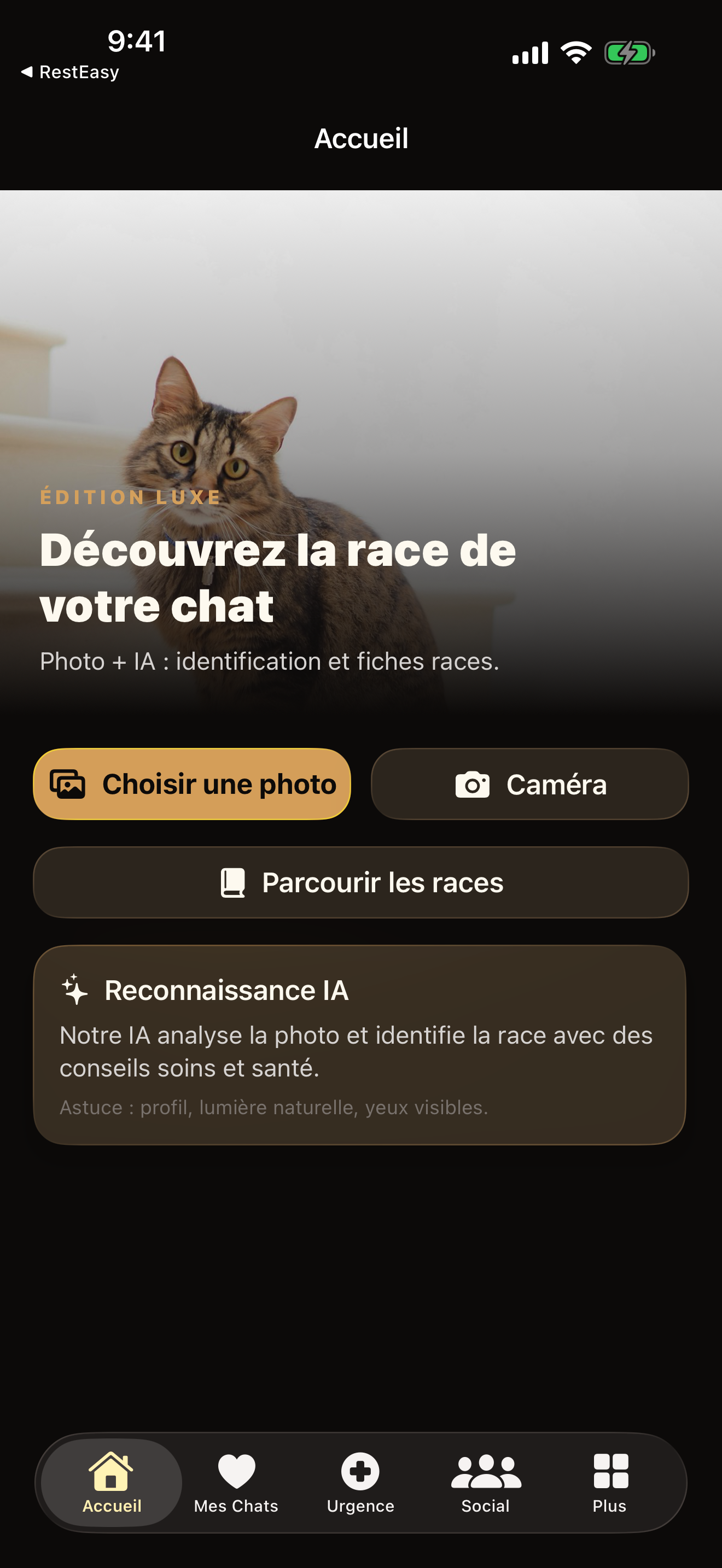 Purrly — Accueil Scanner