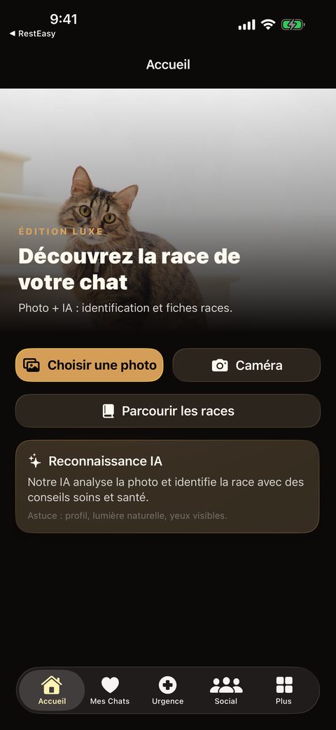 Purrly — aperçu de l'app